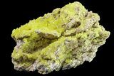 Yellow Sulfur Crystals on Matrix - Steamboat Springs, Nevada #154351-1
